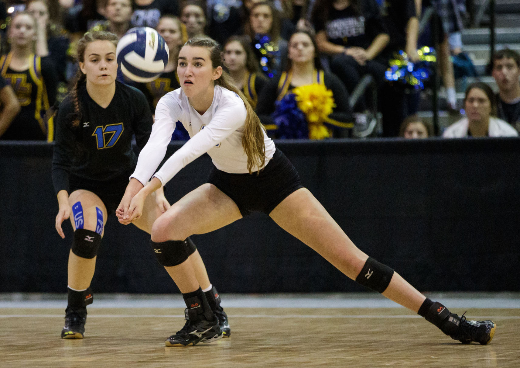 br.divisionIIIvolleyball.111117.003.JPG